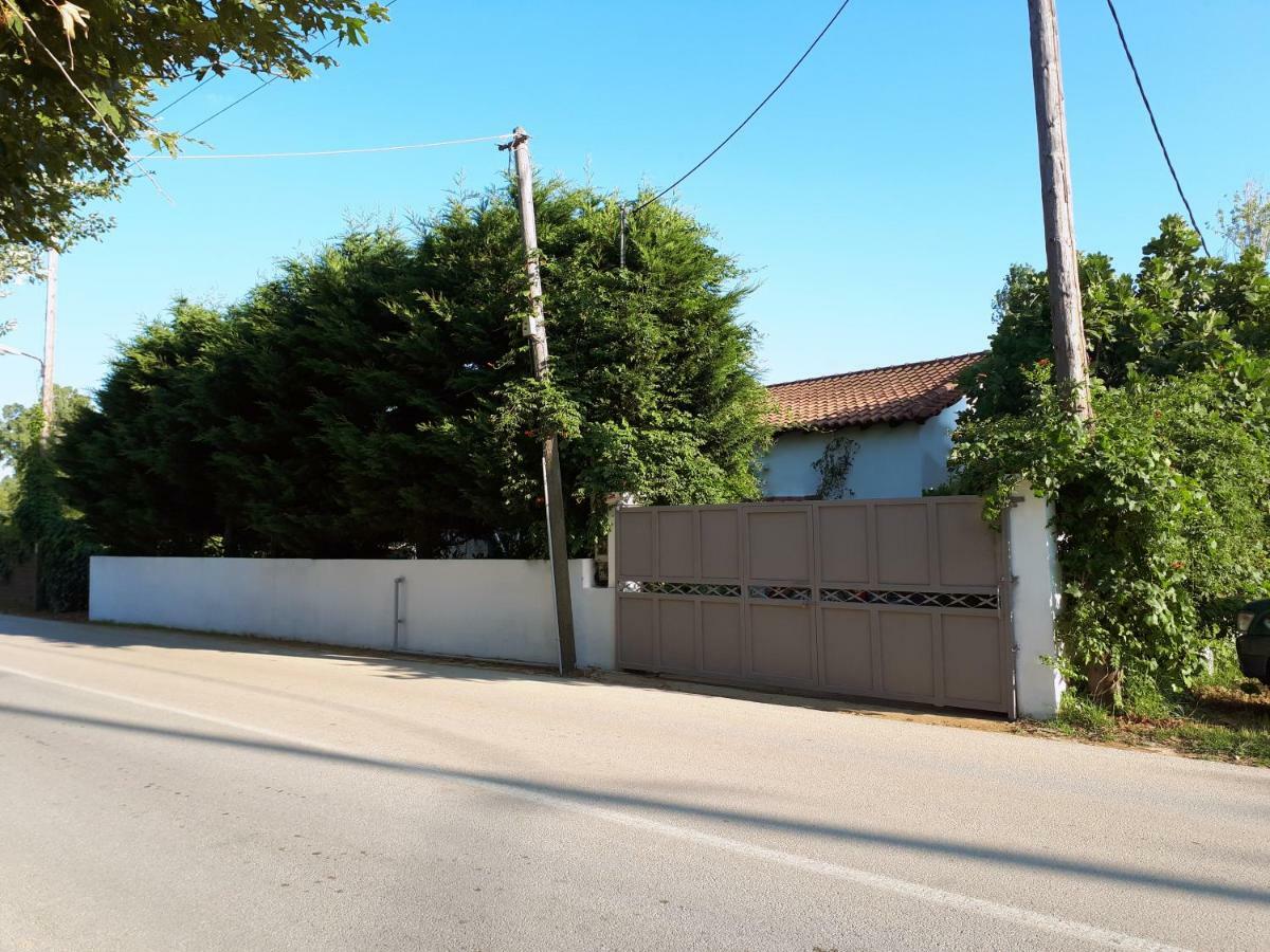 Ckiathi - Ckiaθi - Ps Rental Agia Paraskevi  Exteriér fotografie